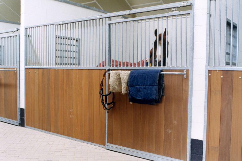 PAARDENBOXEN